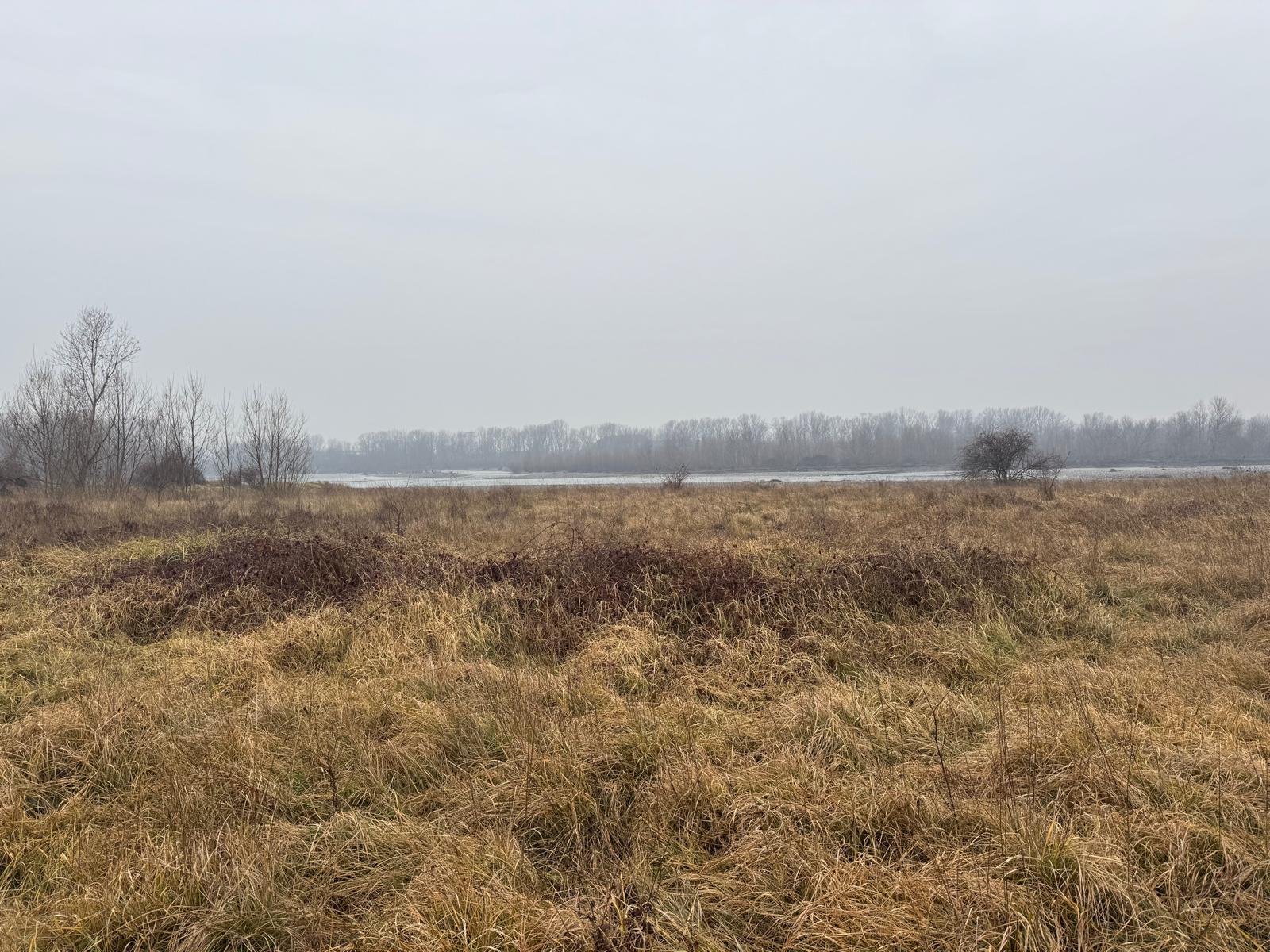 IMG-20260124-WA0049