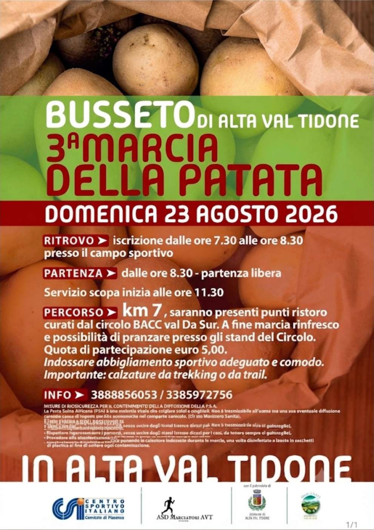 MARCIA DELLA PATATA